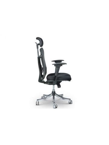 Ergo EX ergonomic office chair